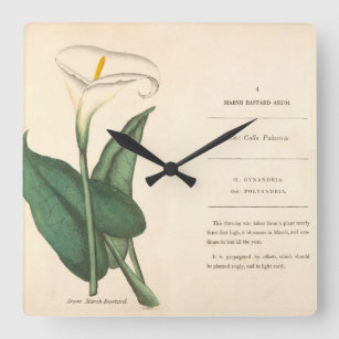 Botanical Calla Lily Flowers Floral Wall Clock