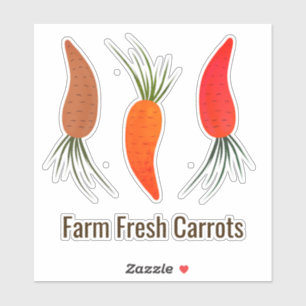 Botanical Carrots Collection  Sticker