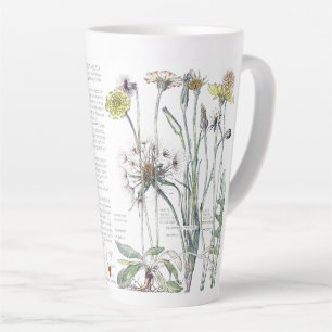 Botanical Cats Ear Wildflower Flowers Latte Mug