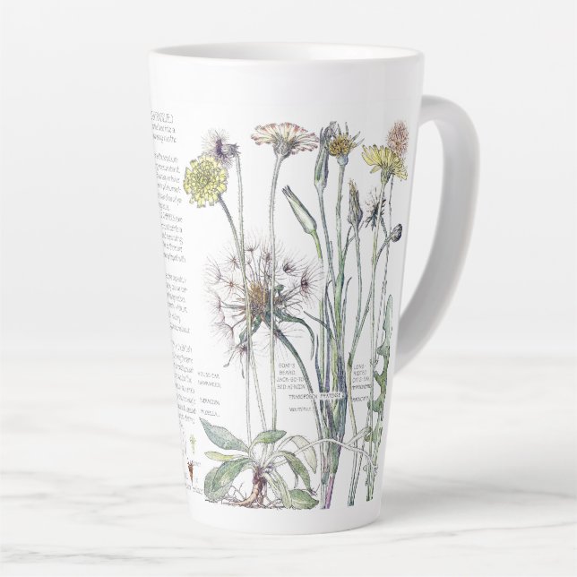 Botanical Cats Ear Wildflower Flowers Latte Mug (Right Angle)