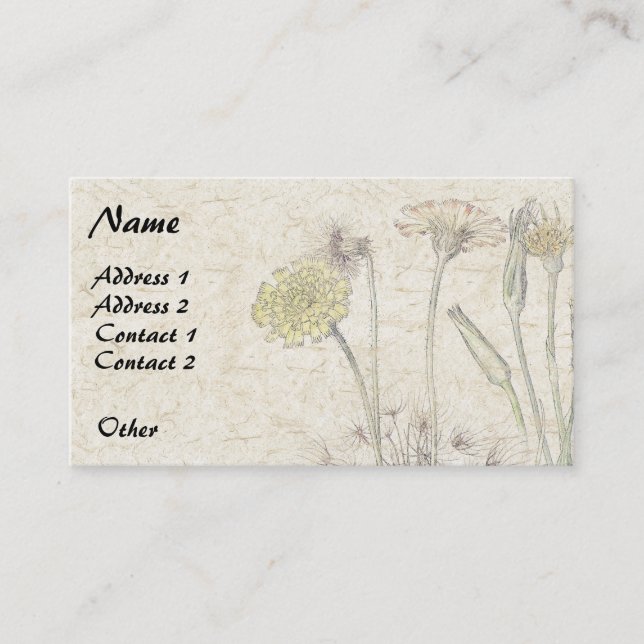 Botanical Catsear Wildflower Flower Business Cards (Front)