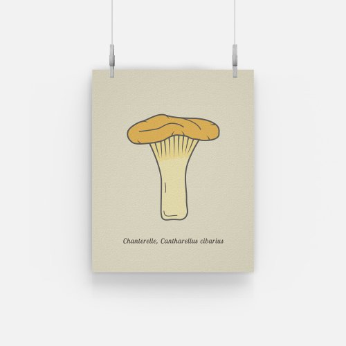 Botanical Chanterelle Mushroom Poster