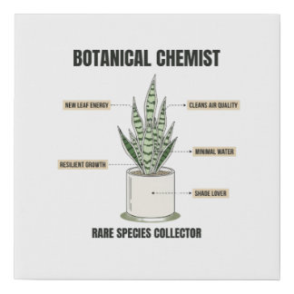 Botanical Chemist Monstera Anatomy - Aesthetic Faux Canvas Print