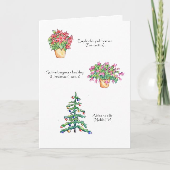 Botanical Christmas Holiday Card (Front)