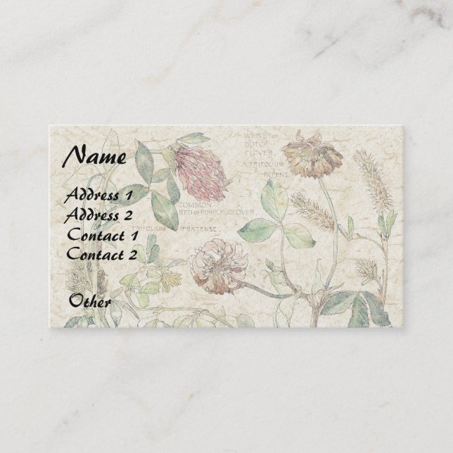 Botanical Clover Wildflower Flowers Business Cards (Front)
