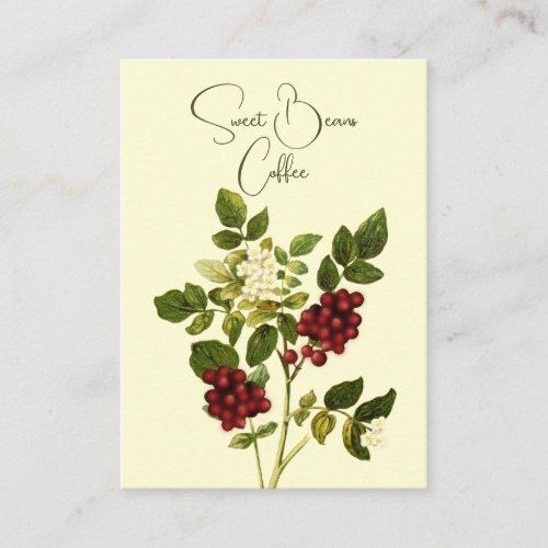 Botanical Coffee Bean Stem Business Card