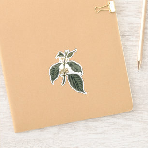 Botanical Coffee Plant Bohemian Elegance Floral Sticker