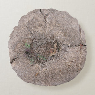 Botanical Cut Palm Tree Photo Round Pillow