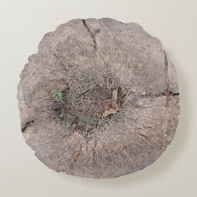 Botanical Cut Palm Tree Photo Round Pillow (Front)