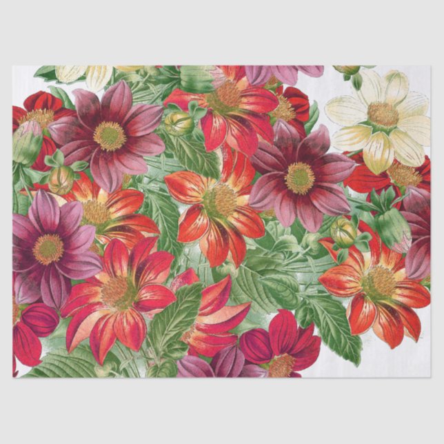 Botanical Dahlia Flowers Floral Tissue Paper (Front)