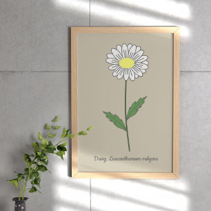 Botanical Daisy Pastel Flower Poster