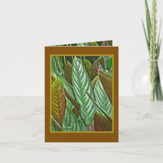 Botanical /Dieffenbachia Tropical Jungle Plant