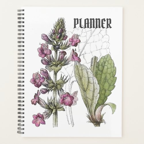 Botanical Drawing Pink Nettle Flower Planner