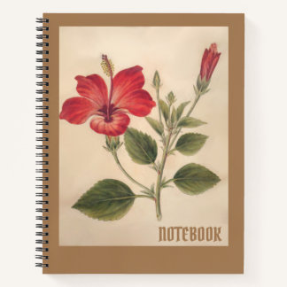 Botanical Drawing Red Hibiscus Notebook