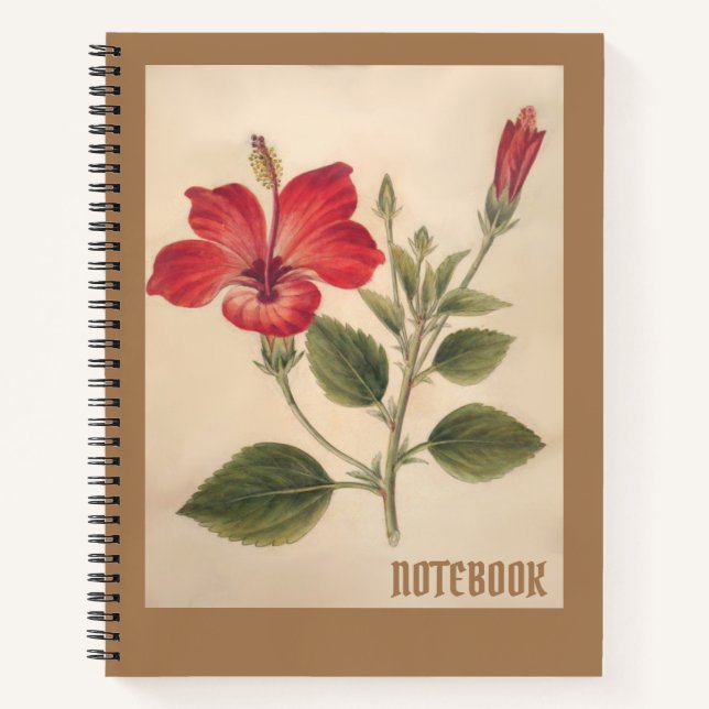 Botanical Drawing Red Hibiscus Notebook (Front)