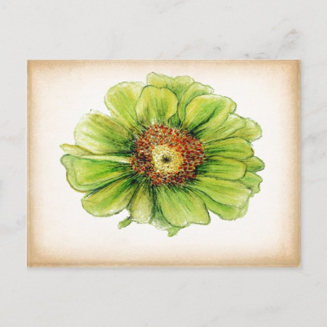 Botanical drawings postcards (Front)