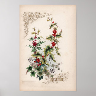 Botanical Engravings, December Poster