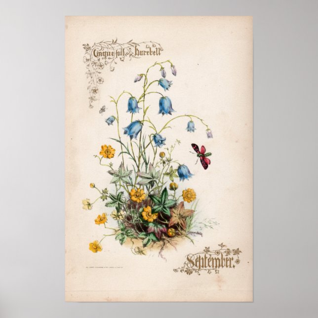 Botanical Engravings, September Poster (Front)