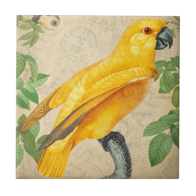 Botanical Exotic Wildlife Yellow Jungle Parrot Ceramic Tile (Front)