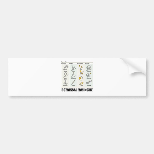 Botanical Fan Inside (Types Of Buds) Bumper Sticker (Front)