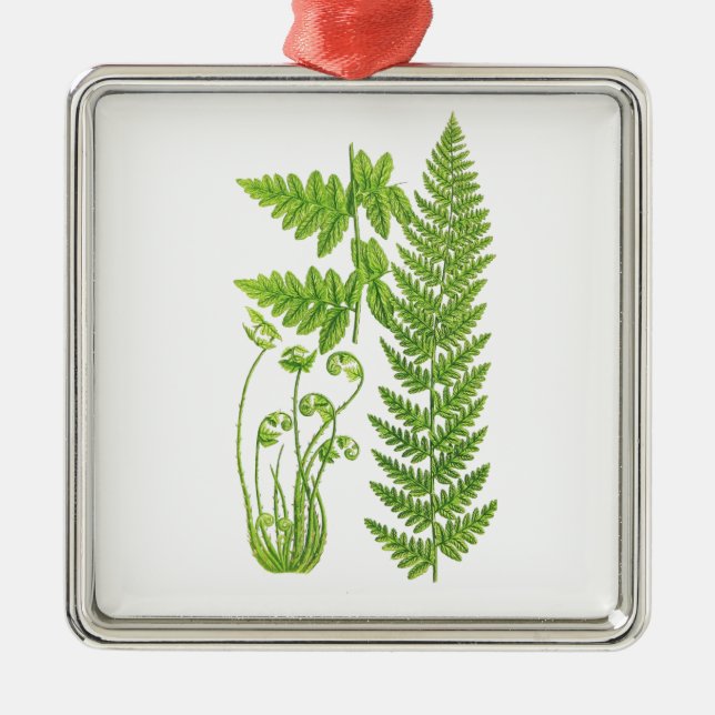Botanical Fern Illustration No.7 Tropical Decor Metal Ornament (Front)