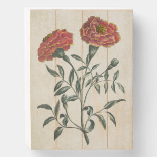 Botanical Floral French Marigold Wooden Box Sign