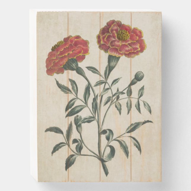 Botanical Floral French Marigold Wooden Box Sign (Front Vertical)