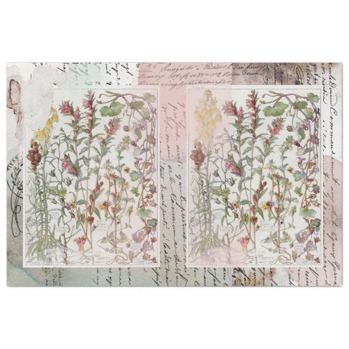 Botanical Florals and Script Collage Tissue Paper