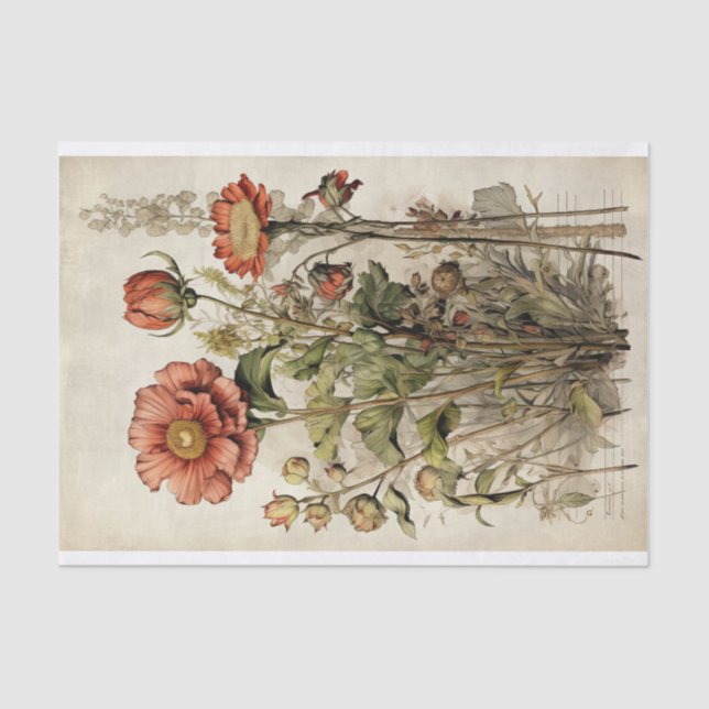 Botanical Flower Illustrations on Parchment No. 1 Tissue Paper (Front)