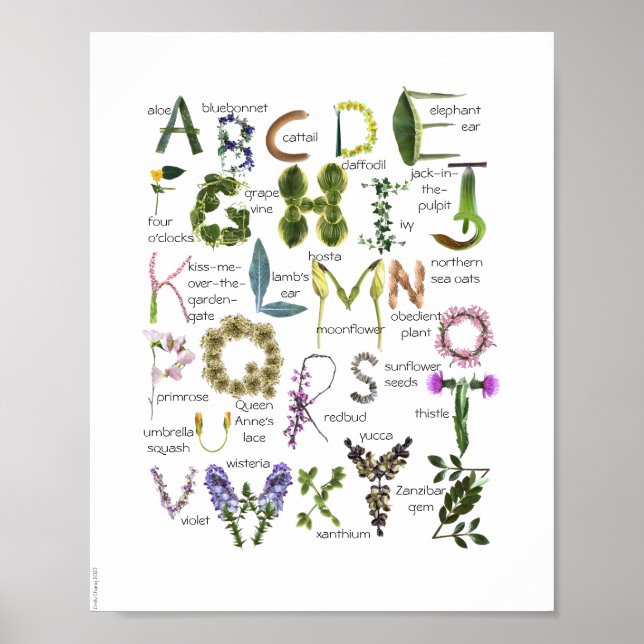 Botanical Flowers Alphabet Baby Nursery Poster - (Front)