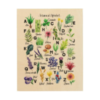 Botanical Flowers Alphabet Cute Baby Nursery