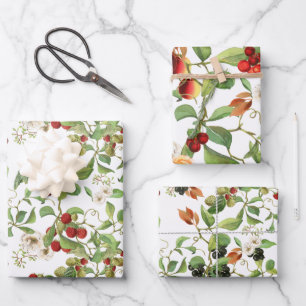 Botanical Fruits and Foliage Wrapping Paper Set