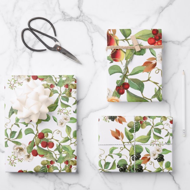 Botanical Fruits and Foliage Wrapping Paper Set (Front)