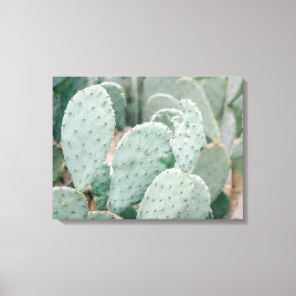 Botanical Garden Cactus Canvas Print