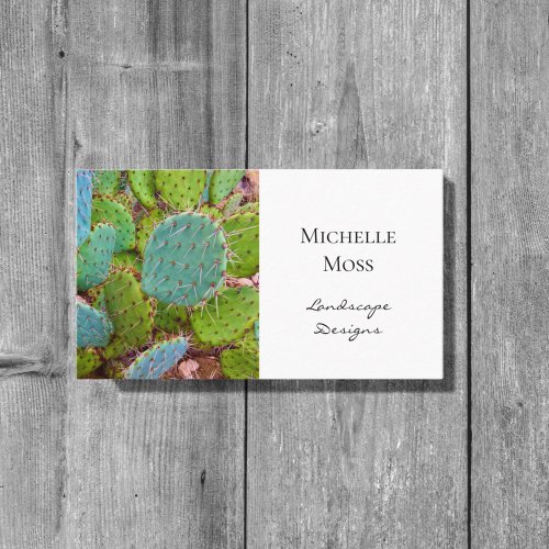 Botanical Garden Desert Succulent  Business Card