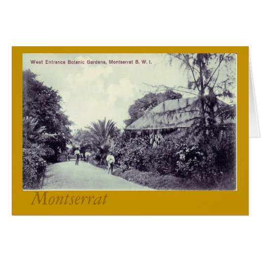 Botanical Garden, Montserrat Cards (Front Horizontal)