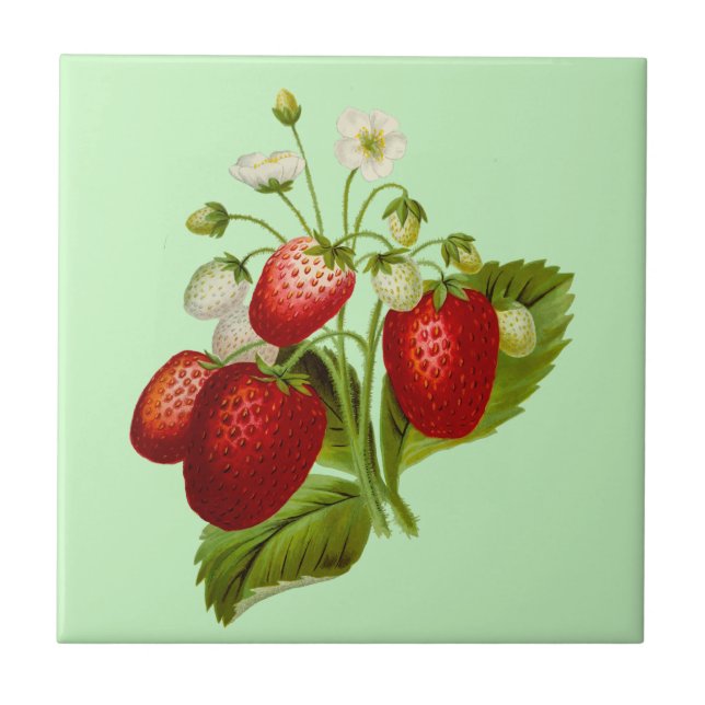 Botanical Garden Strawberry Ceramic Tile (Front)