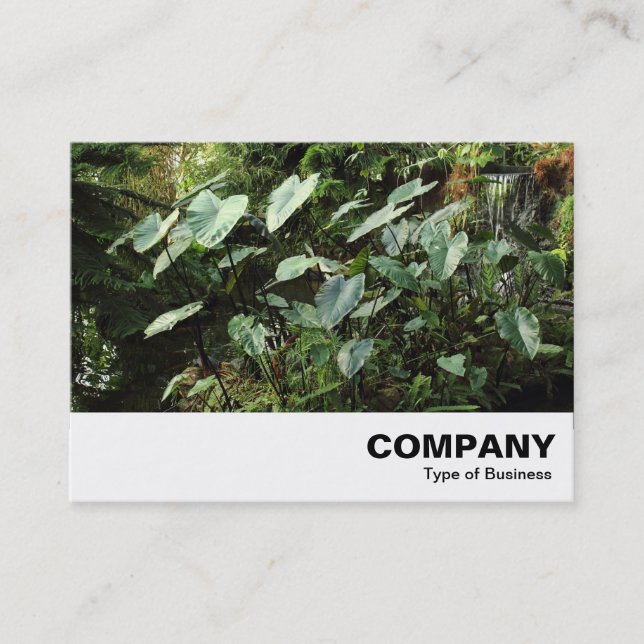 Botanical Gardens Business Card (Front)