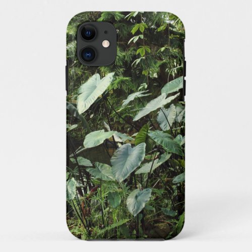 Botanical Gardens iPhone 11 Case
