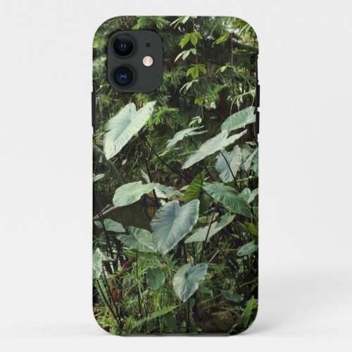 Botanical Gardens iPhone 11 Case