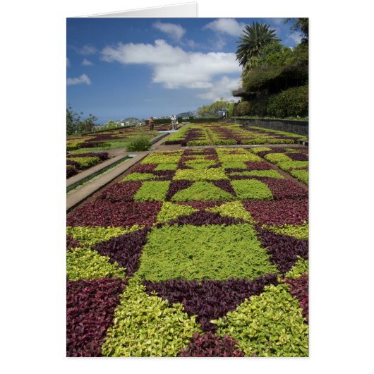 Botanical Gardens, Funchal, Madeira Islands, (Front)