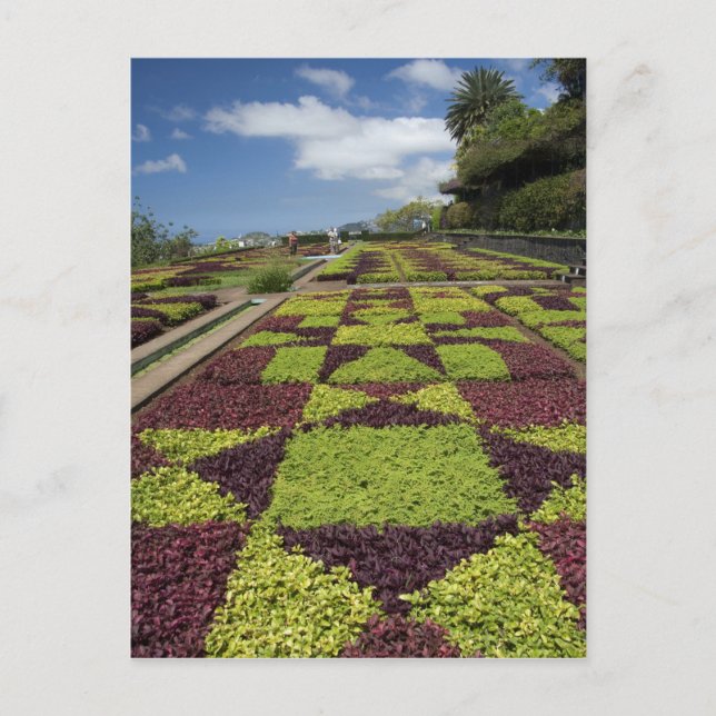 Botanical Gardens, Funchal, Madeira Islands, Postcard (Front)