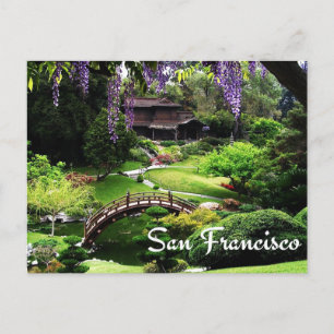 Botanical Gardens, San Francisco California, USA Postcard