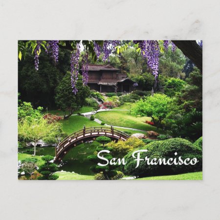 Botanical Gardens, San Francisco California, Usa Postcard