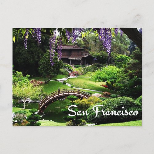 Botanical Gardens San Francisco California USA Postcard