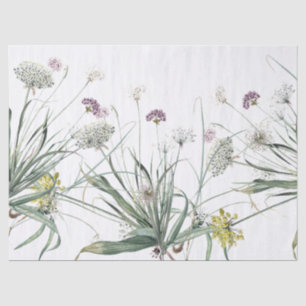 Botanical Garlic Bulb Plant Allium Tissue Paper