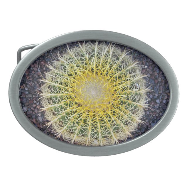 Botanical Globe Cactus Plant Photo Belt Buckle (Front)