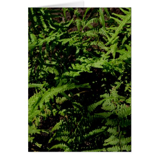 Botanical green Forest Floor Ferns Cards (Front)