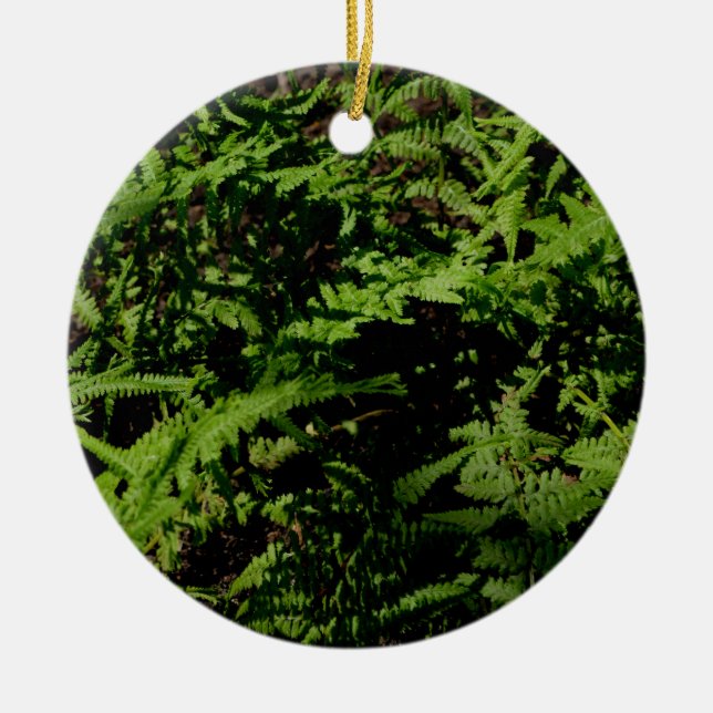 Botanical green Forest Floor Ferns Ceramic Ornament (Front)