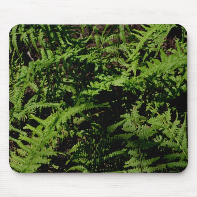 Botanical green Forest Floor Ferns Mouse Pad (Front)